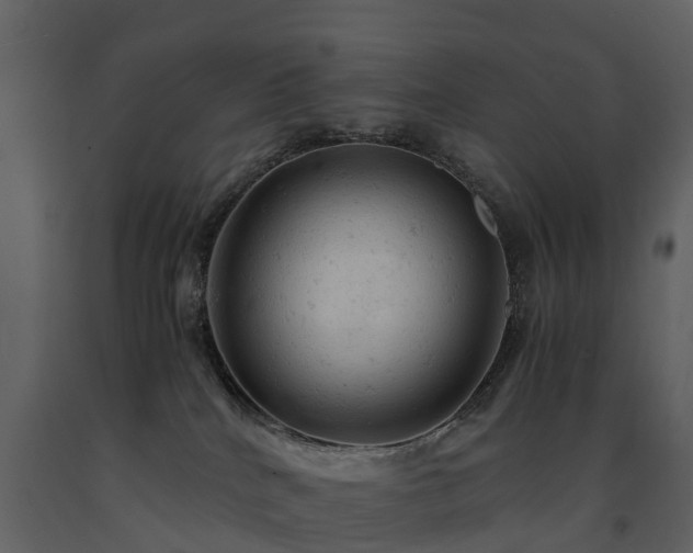 X0000091650040200708231231