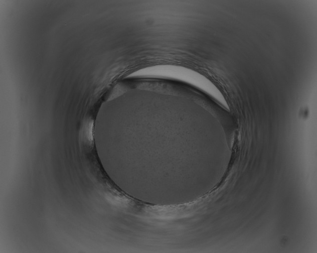 X0000091650041200708231231