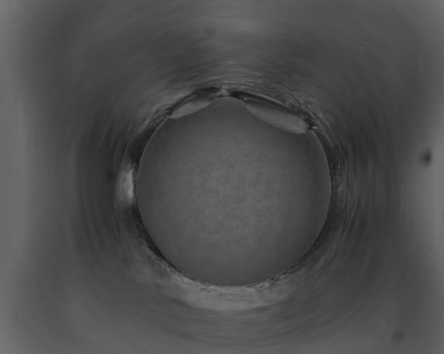 X0000091650042200708231231