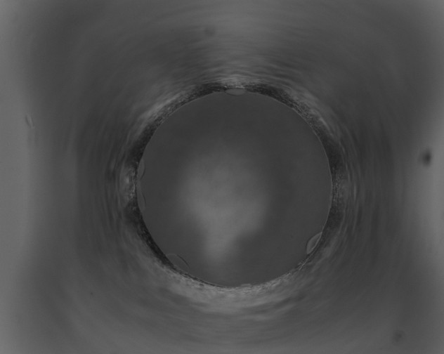 X0000091650043200708231231