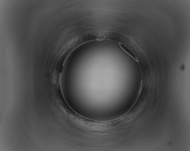 X0000091650044200708231231
