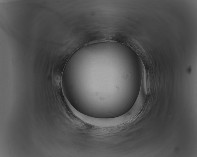 X0000091650045200708231231