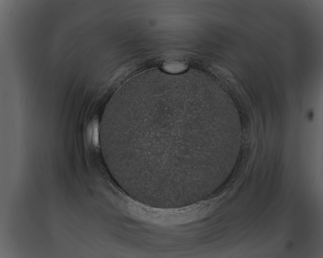 X0000091650046200708231231