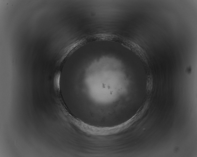 X0000091650047200708231231