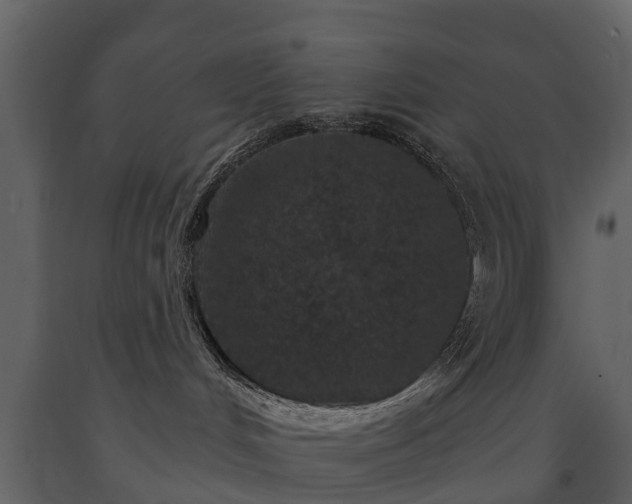 X0000091650048200708231231