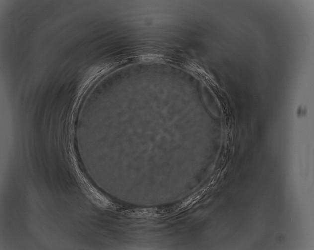 X0000091650049200708231230