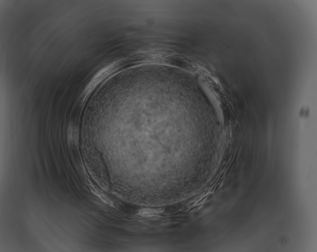 X0000091650051200708231230