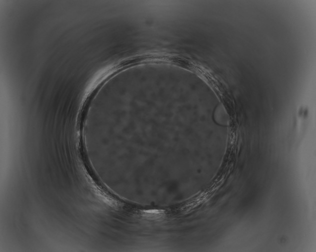 X0000091650053200708231230