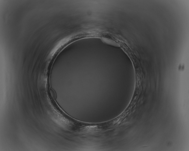 X0000091650054200708231230