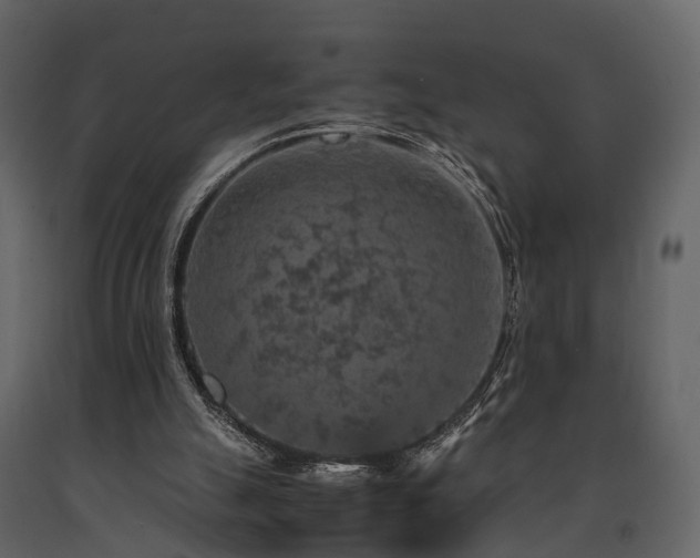 X0000091650055200708231230