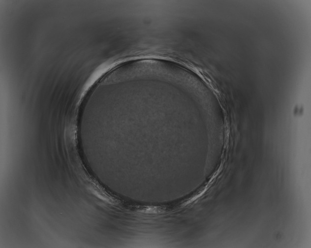 X0000091650056200708231230