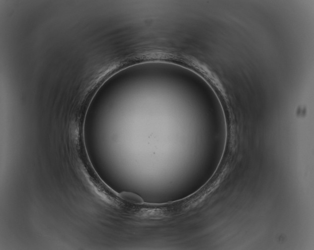X0000091650057200708231230