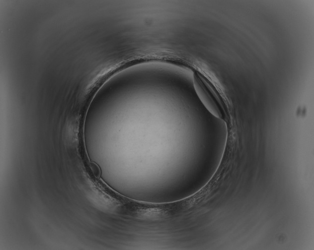 X0000091650058200708231230