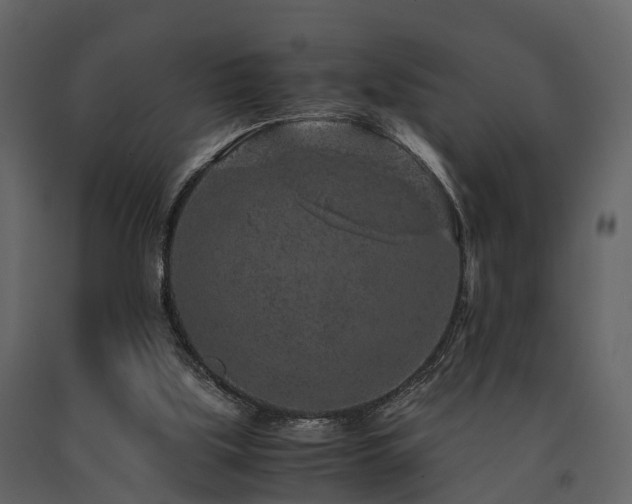 X0000091650059200708231230