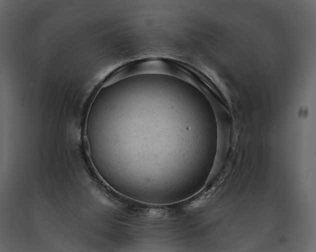 X0000091650060200708231230