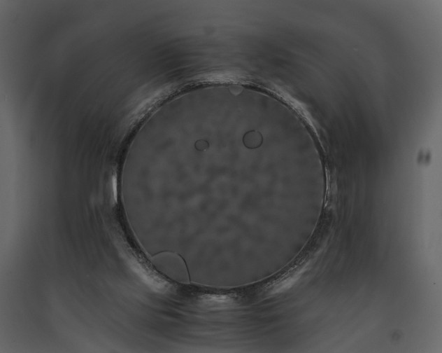 X0000091650061200708231230