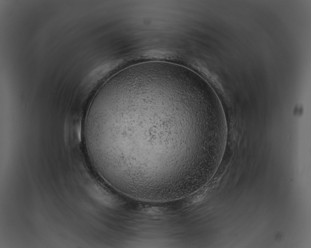 X0000091650062200708231230