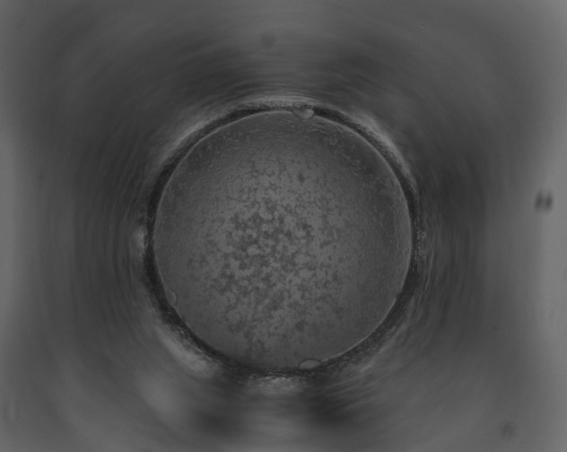 X0000091650063200708231230