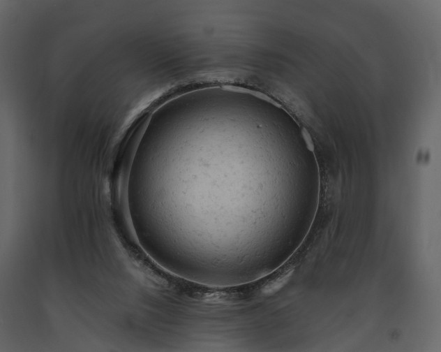 X0000091650064200708231230