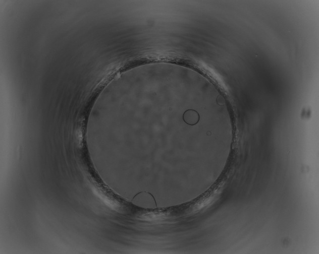 X0000091650065200708231230