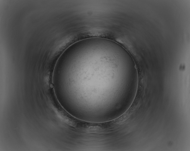 X0000091650066200708231230