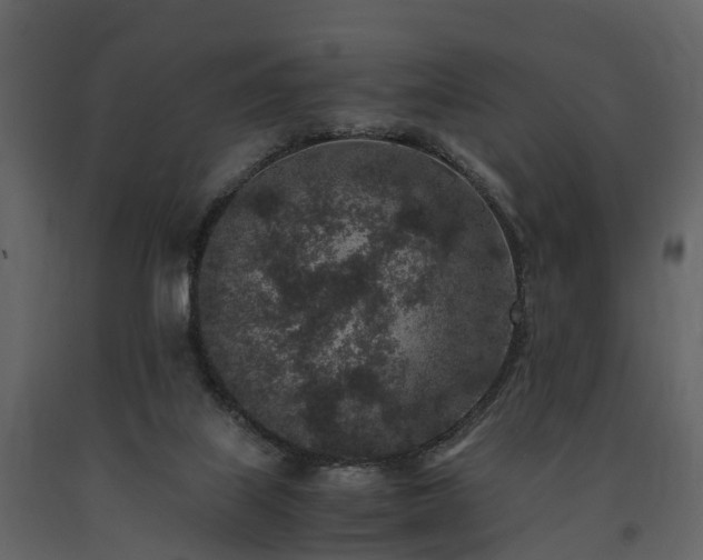 X0000091650067200708231230