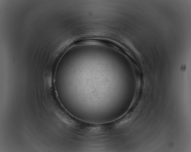 X0000091650068200708231230