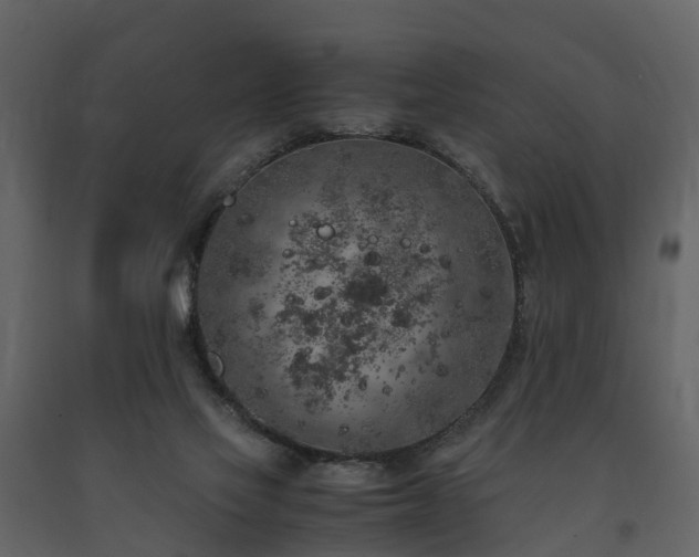 X0000091650069200708231230
