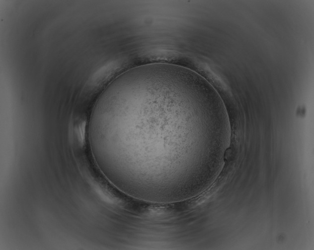 X0000091650070200708231230