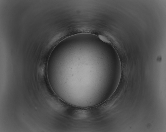 X0000091650071200708231230