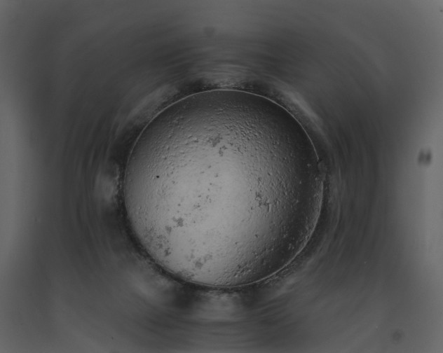 X0000091650073200708231230
