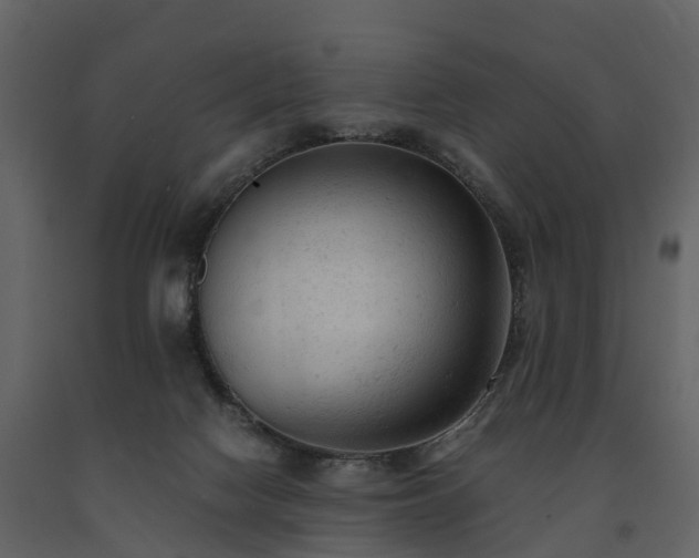 X0000091650074200708231230