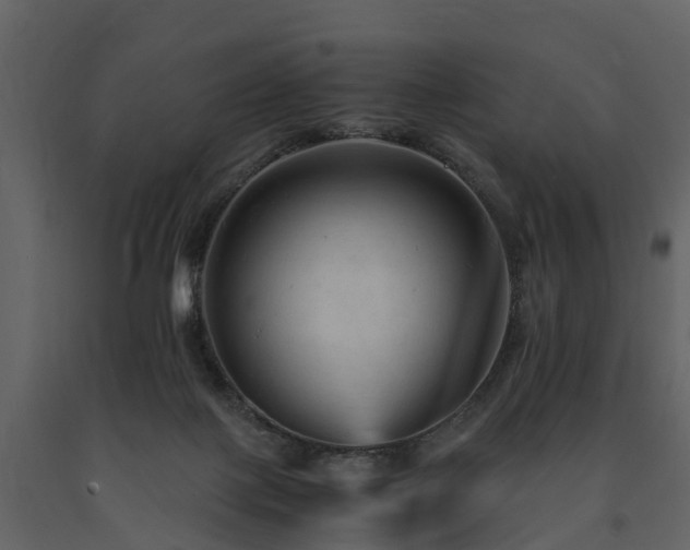 X0000091650075200708231230
