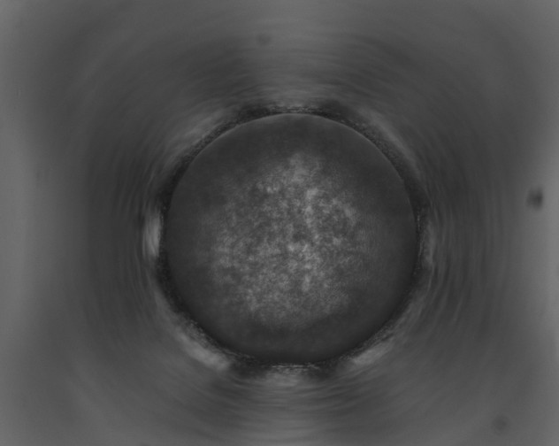 X0000091650076200708231230