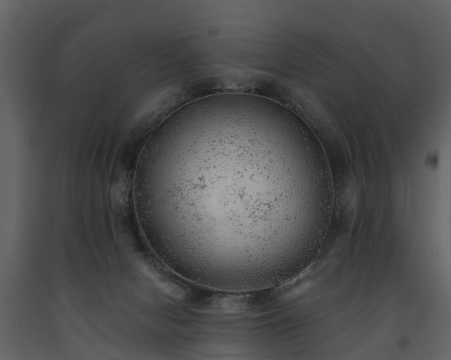 X0000091650078200708231230