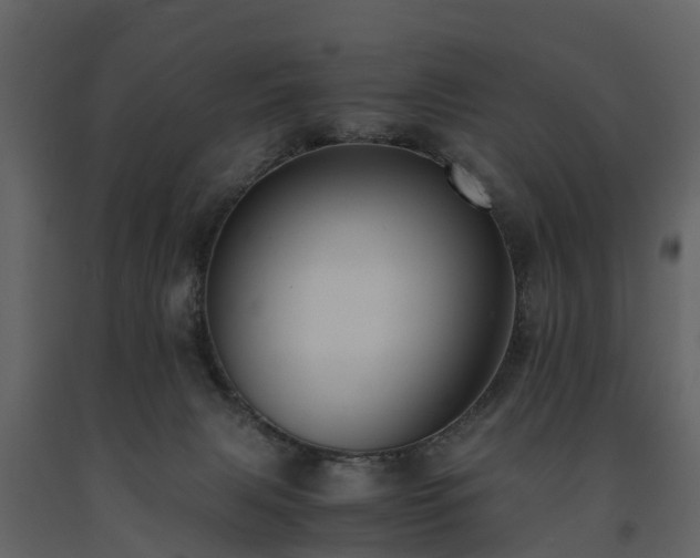 X0000091650079200708231230