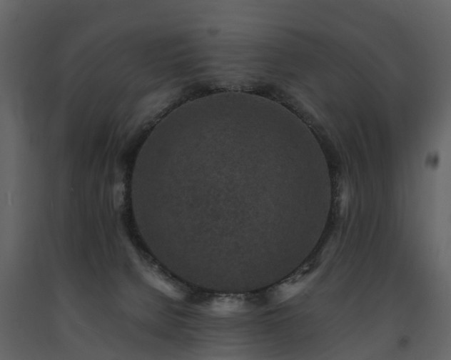 X0000091650080200708231230