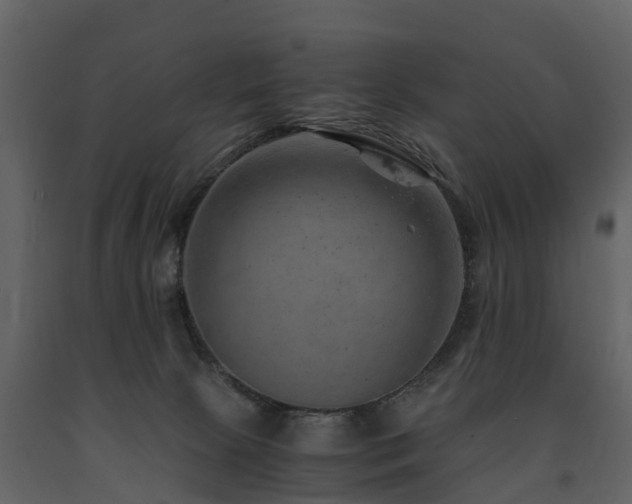 X0000091650081200708231230