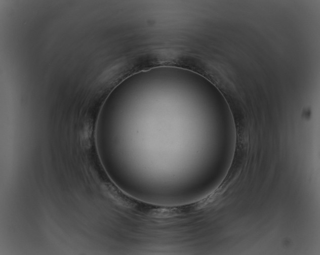 X0000091650082200708231230