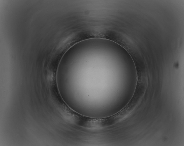X0000091650084200708231230