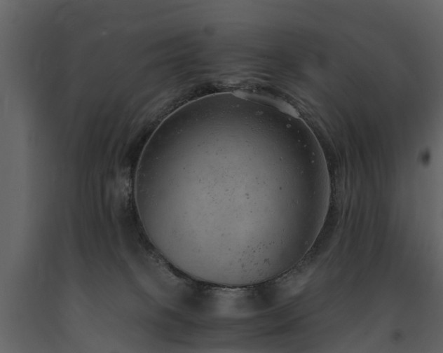X0000091650085200708231230