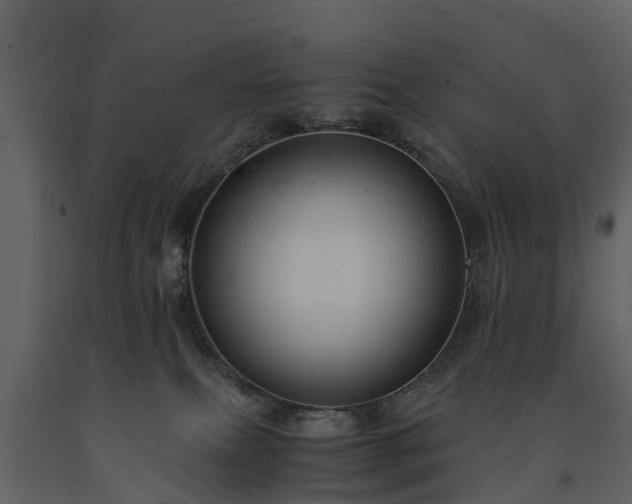 X0000091650087200708231231