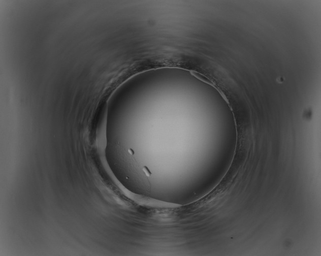 X0000091650088200708231231