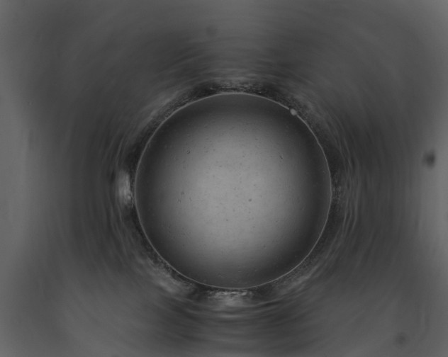 X0000091650089200708231231