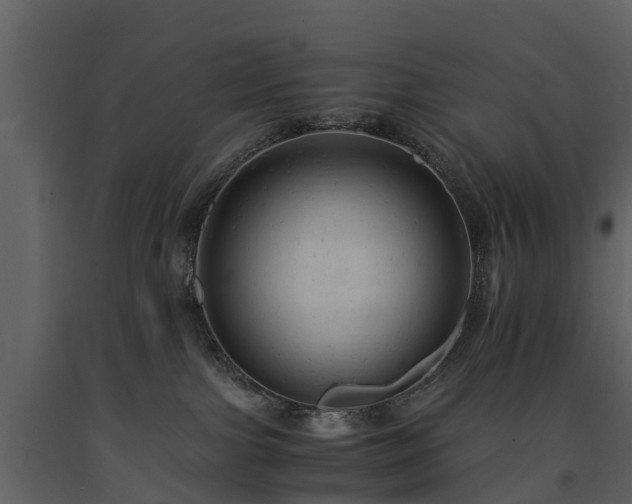 X0000091650091200708231231