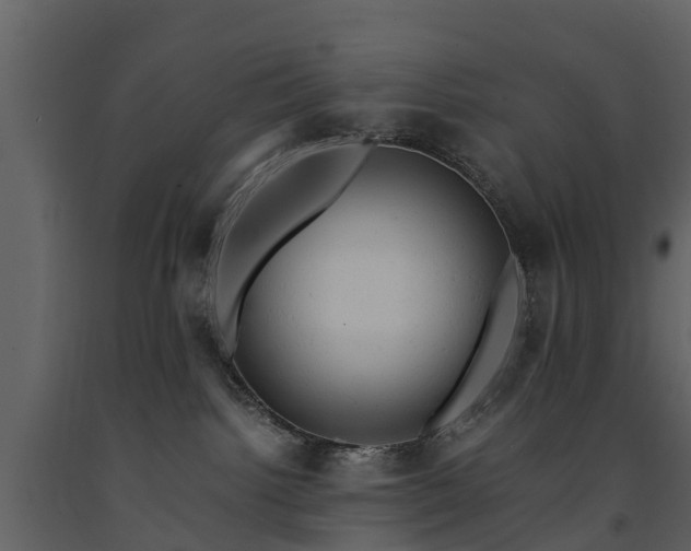 X0000091650092200708231231
