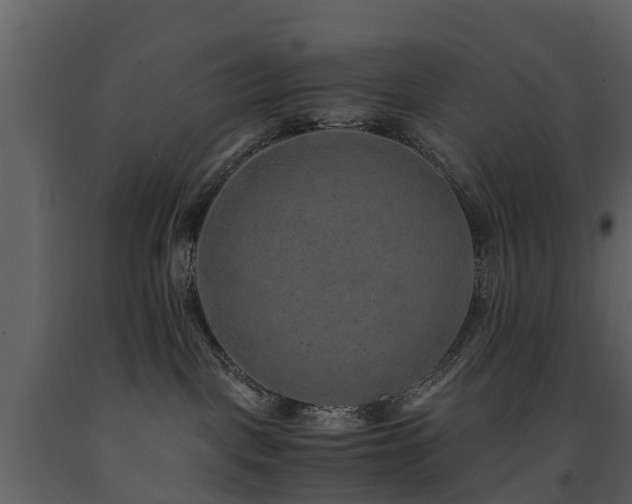 X0000091650093200708231231