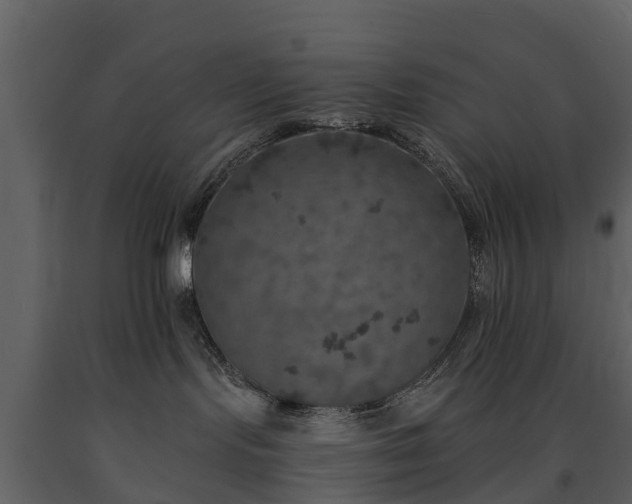 X0000091650095200708231231