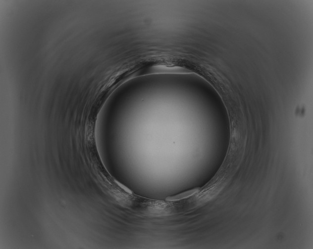 X0000091650096200708231231