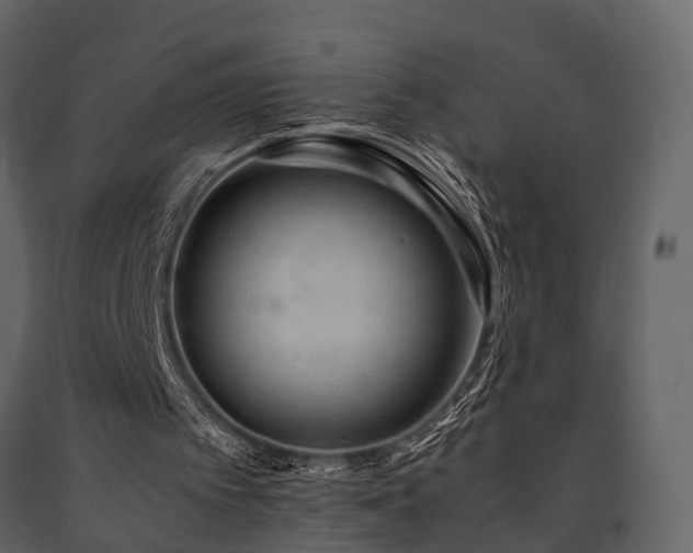 X0000091650097200708231230
